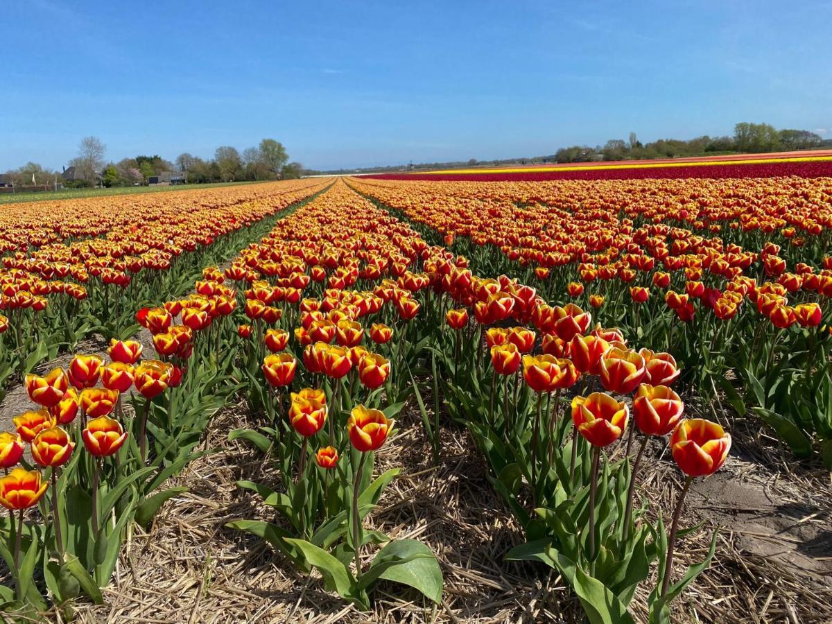 Zandrijk Egmond aan den Hoef Luaran gambar